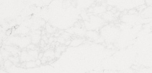 5131 Calacatta Nuvo