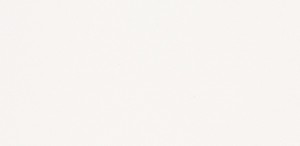 1141 Pure White