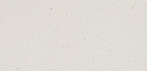 4001 Fresh Concrete