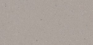 4004 Raw Concrete