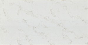 CANVAS GOLD EQAM