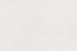 PURE WHITE EQC