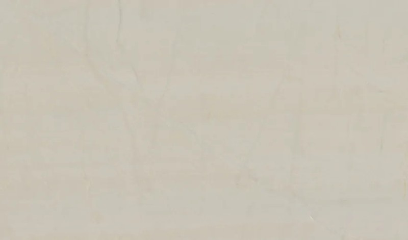 EXCLUSIVE WHITE