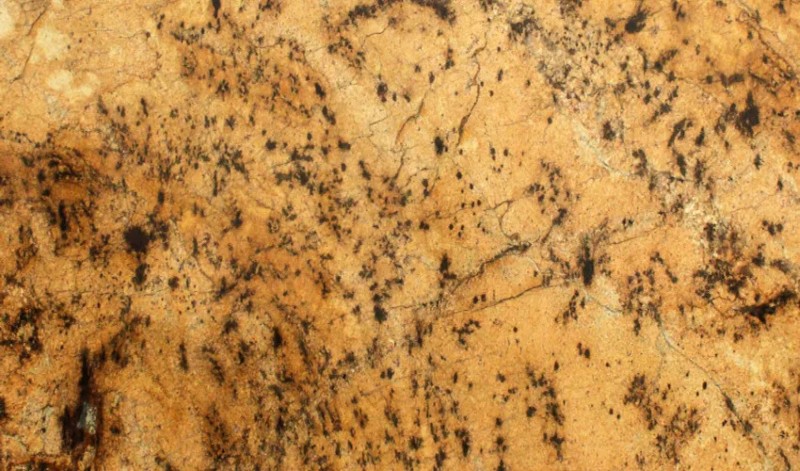 LAPIDUS BROWN