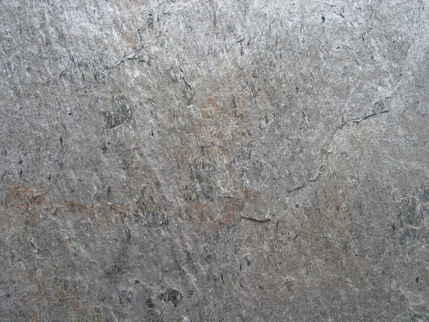 13-Silver-Shine-CU-min.jpg
