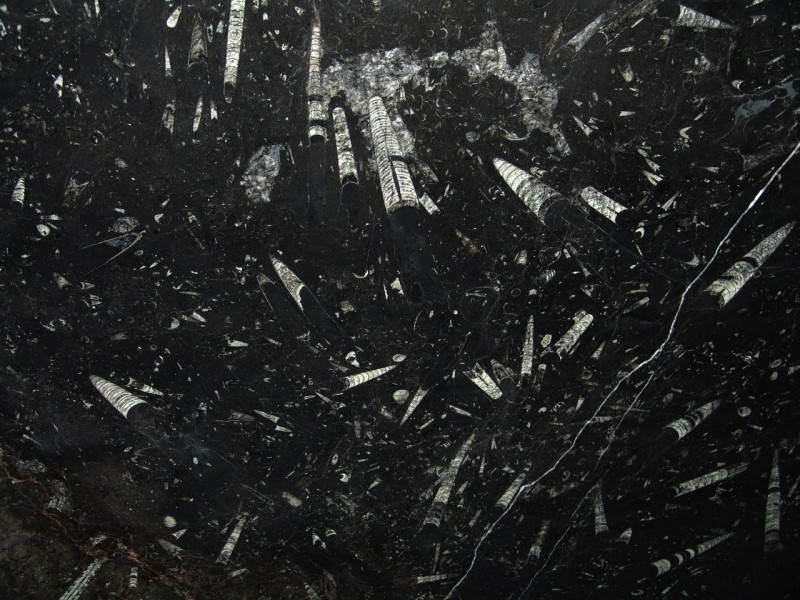 ZEM-marmi-Fossil-Black-NAT-DSC01155-min.jpg