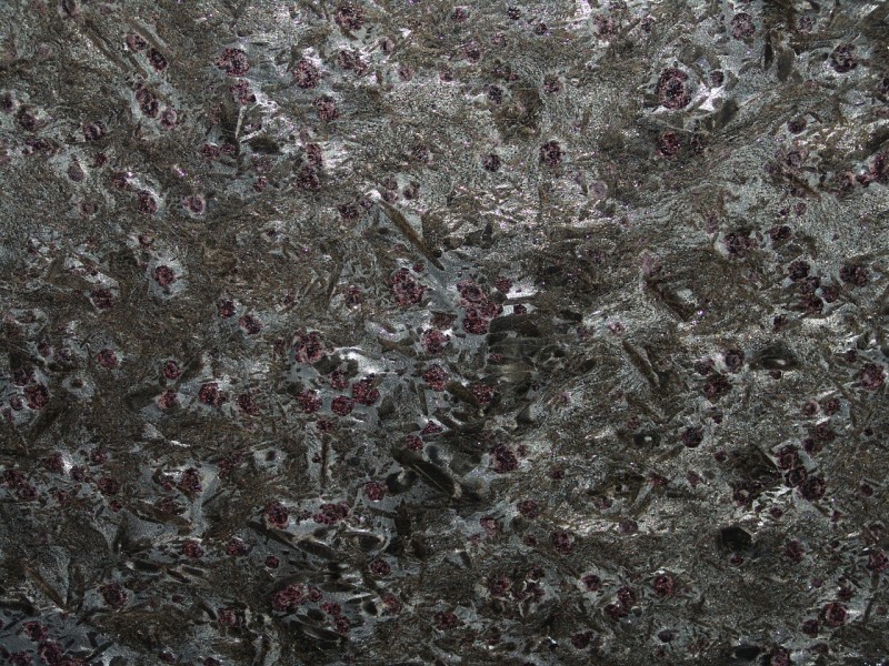 meteorus